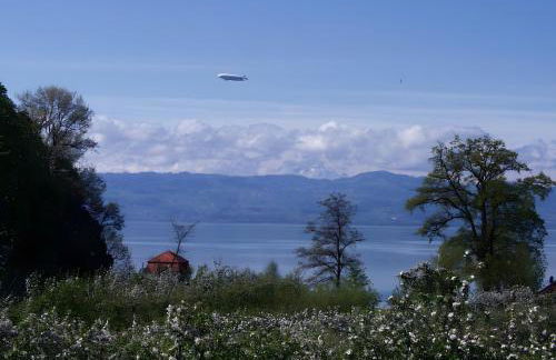 Baumanns Ferienhof Am See - Foto 3