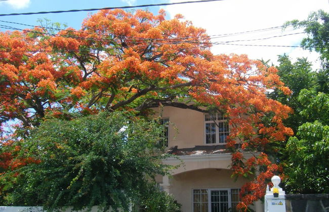 Villa Sirandane, Baie Du Tombeau - Foto 45