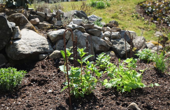 Chalet am Birkenhain - Foto 47