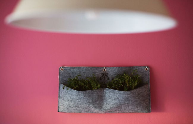 Garden apartment - Foto 9