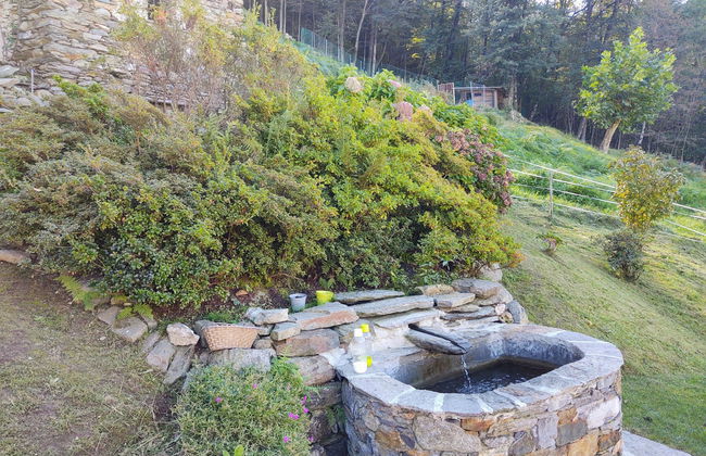 Rodondello (CCO340) - Foto 15