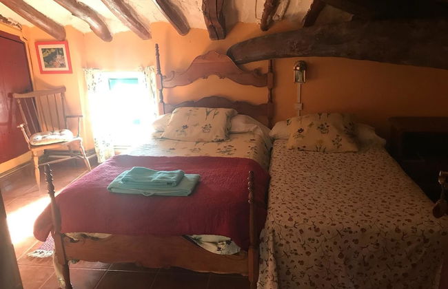 El Olivo de Sansol - Foto 8