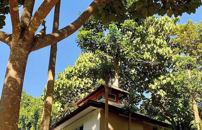 The Cascade - Mae Taeng Waterfall Bungalows - Photo 36