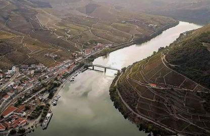 Pinhão House - Foto 50