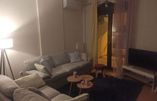 Διαμέρισμα παραποτάμια Νάουσα - Foto 21