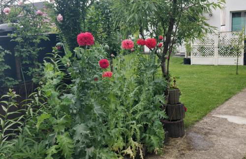Gästehaus am Teich - Foto 52