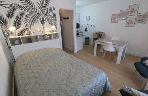 Studio Rue Castellane pour Cure ou Tourisme Vert à 2 min des Thermes - Foto 1