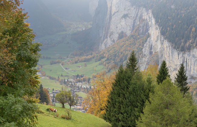 Helene Apt.Diana - Foto 28