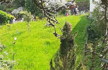 Apartment Rose - Photo 35