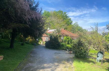 Quinta de Ribas - Foto 19