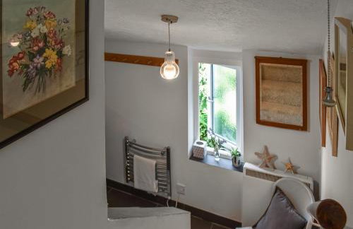 Tan Bryn - Uk44151 - Foto 10