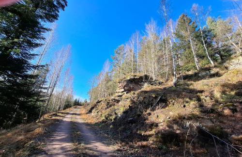 Ferienhaus du Bourguignon, Lorraine - Foto 20
