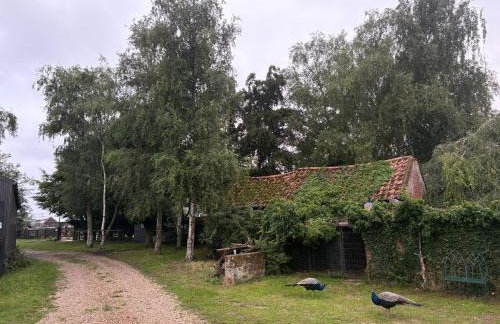Stunning 16th Century Farmhouse in Suffolk - Foto 31