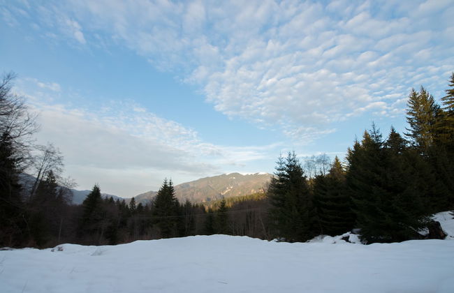 Beautiful and Bright Apartment - Foto 21