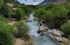 Saluda Alta - Foto 22