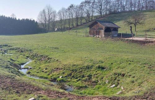 Große tolle 4 Zimmer Ferienwohnung im Herzen des Odenwaldes - Foto 60