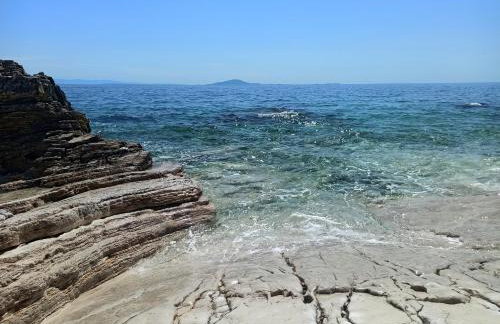 Apartman Dora - Foto 34