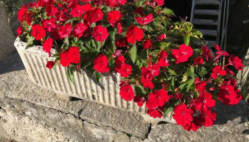 Villa Ombrosa - Foto 5, Garden