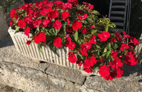 Villa Ombrosa - Foto 5