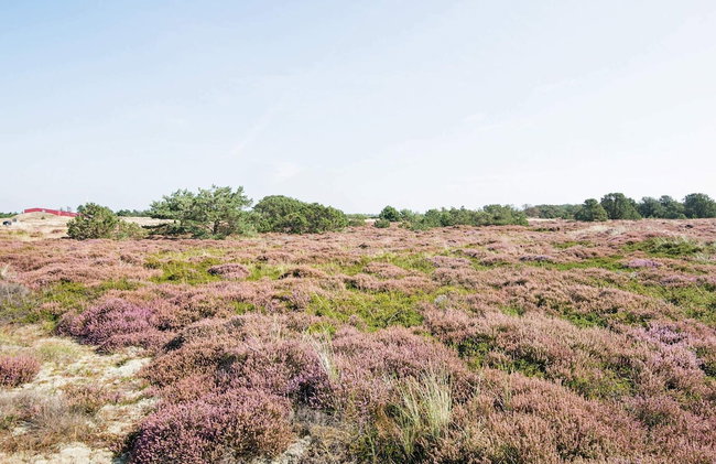 Child Friendly Holiday Home in Fanø near Sea - Foto 33
