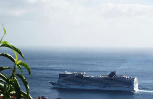 Granny House Madeira - Foto 13