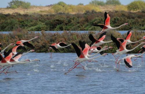 Apartment Vista Verde - Photo 34