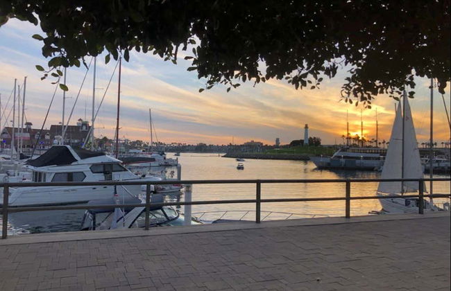 Passeio de barco com fundo de vidro por Long Beach - Foto 7