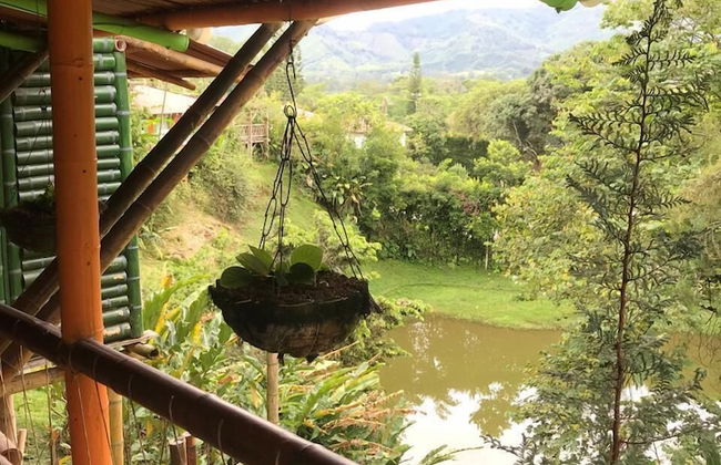 Ecocabañas Pereira - Foto 34