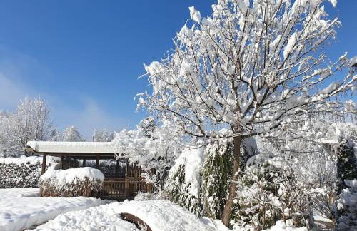 Mansarda con terrazzo e giardino Altopiano di Piné - Foto 7