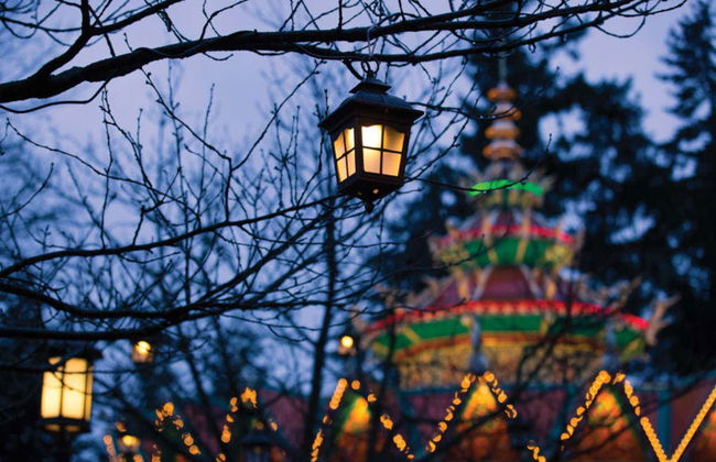 Billet pour le parc d'attractions Efteling - Photo 3