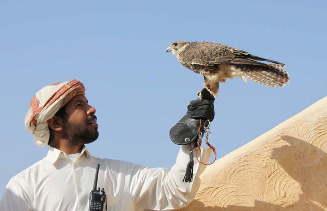 Doha Safari Camel Ride & Sandboarding - Photo 2