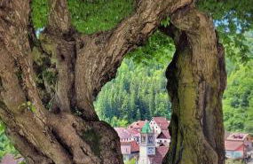 Il Ricjûl - Foto 21