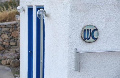 Little Blue - Photo 19