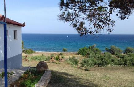 Margarita House - Photo 32