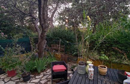 Un jardin en ville - Montpellier Celleneuve - Foto 15