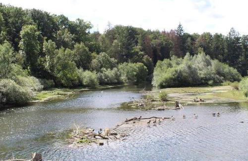 Ferienwohnungen am Seeufer - Foto 33
