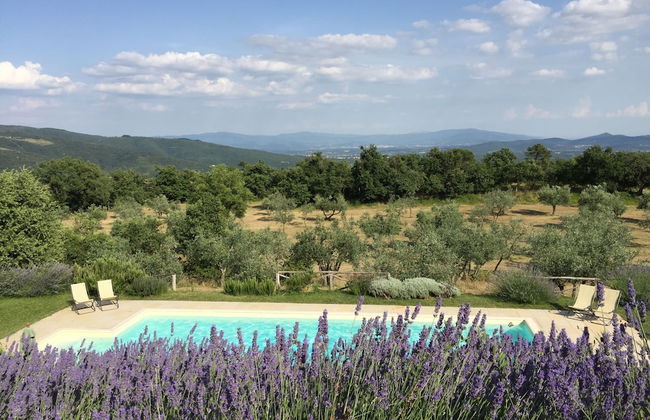 Poggio Corsucci - Foto 40