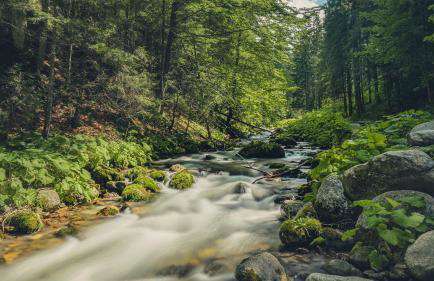 Apartament Nad Tatrzańską Pasieką - Foto 41