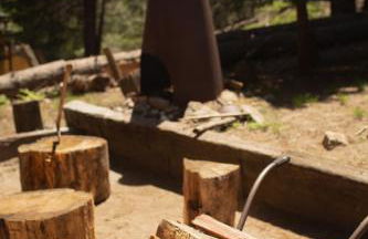 Redwood Grove in Sequoia and Kings Canyon National Park - Foto 25