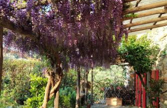 La Corte del Falco - Foto 36