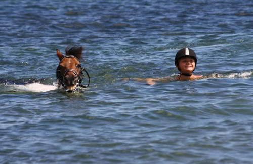 Holiday home with 3 bedrooms - Foto 22