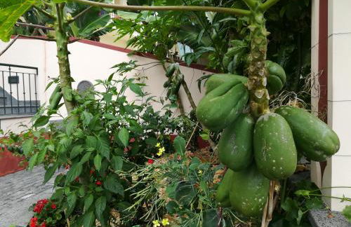 Villa Formosa - Foto 34