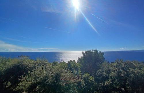 Vacation with exceptional sea views in St Raphaël - Foto 18