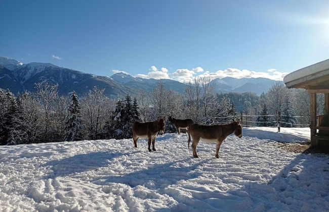 Rossweid hut With a Fantastic View - Foto 41