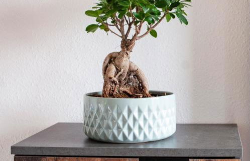 Apartment von Schivelbusch - Foto 11