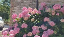 Ca'Solare Corticelli - Photo 3, Garden