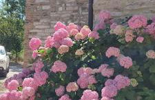 Ca'Solare Corticelli - Photo 3