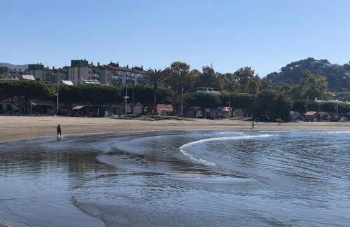 Aunt Antonia Beach House - Photo 31