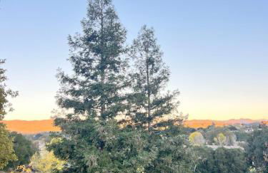 Château La Paz - Foto 44