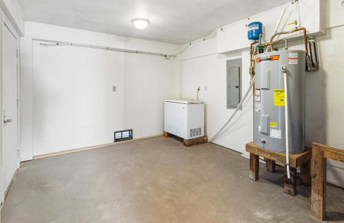 CAC-1 - Angelfish - Photo 41